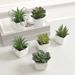 6pcs Home Decoration Mini Evergreen Artificial Succulent Small Potted Plants