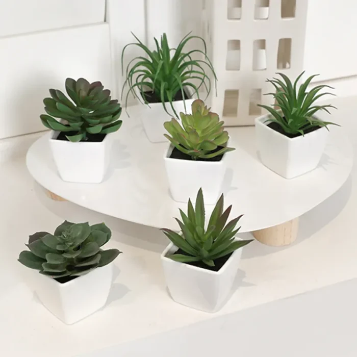 6pcs Home Decoration Mini Evergreen Artificial Succulent Small Potted Plants 3