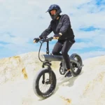 Fat Tire Ebike 20 Inch 7 Speed Mountain Electric Bike 4 Inch Wide Tire Beach Snow 4.webp