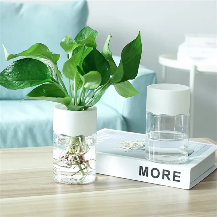 Mini Hydroponic Flower Pot Home Vase Decor Transparent Imitation Glass Soilless Plant Pots Green Plants Pot 1.webp