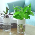 Mini Hydroponic Flower Pot Home Vase Decor Transparent Imitation Glass Soilless Plant Pots Green Plants Pot 3.webp