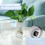 Mini Hydroponic Flower Pot Home Vase Decor Transparent Imitation Glass Soilless Plant Pots Green Plants Pot 4.webp