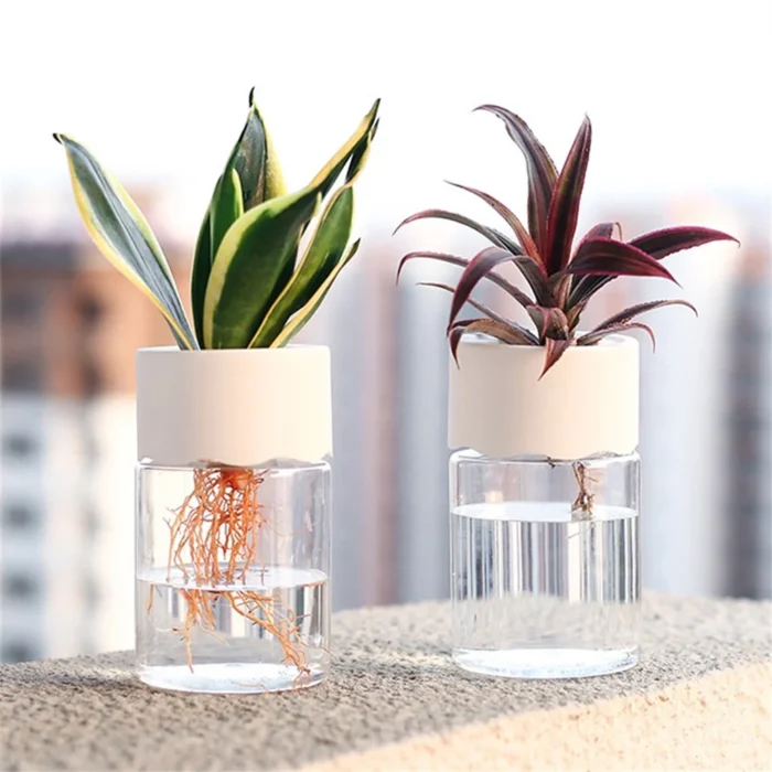 Mini Hydroponic Flower Pot Home Vase Decor Transparent Imitation Glass Soilless Plant Pots Green Plants Pot.webp